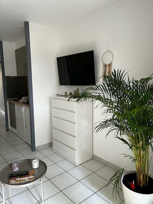 Appartement "Chez Mag Et Jo" Moliets-et-Maa Extérieur photo
